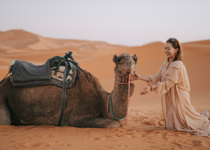 3 Days trip from Marrakech to Desert