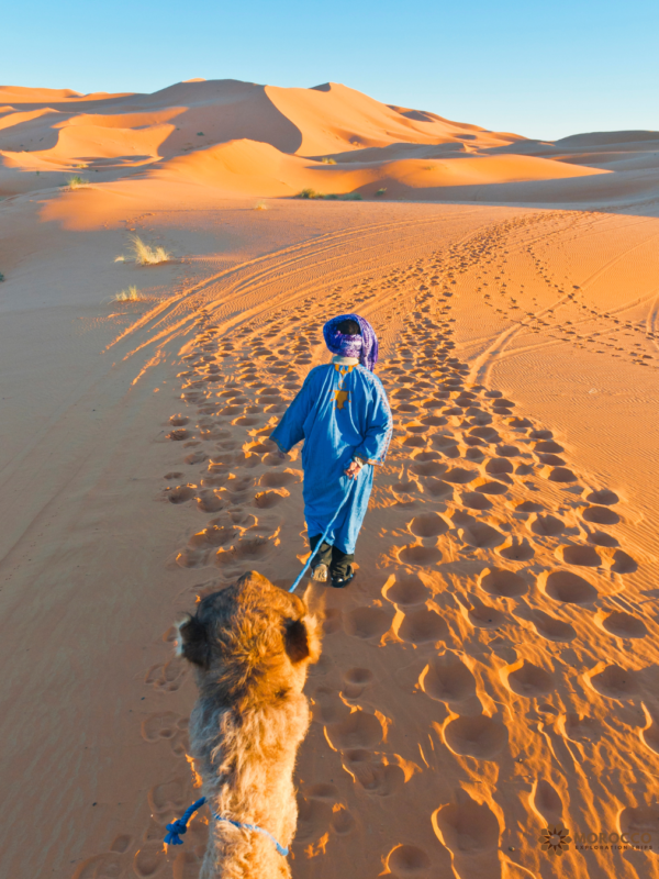 Morocco Exploration Trips (1)