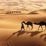 Best 11 days tour from Agadir to Marrakech