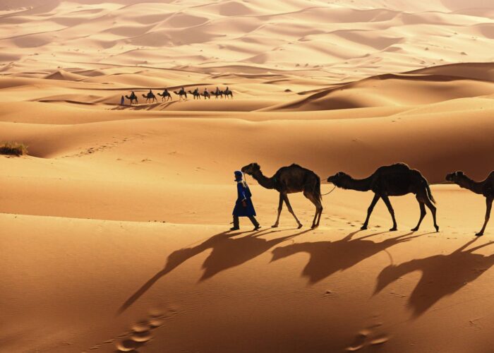 Best 11 days tour from Agadir to Marrakech