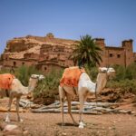 10-Day Morocco Tour from Rabat
