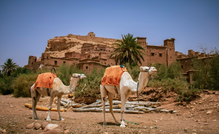 10-Day Morocco Tour from Rabat