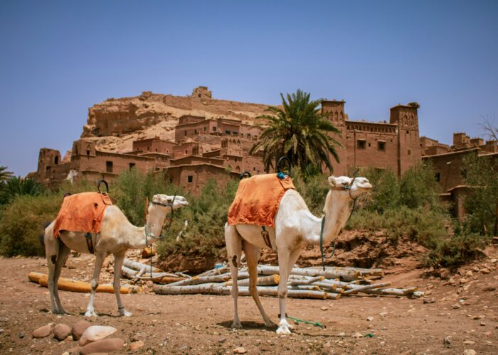 10-Day Morocco Tour from Rabat